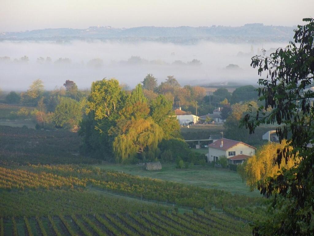 Romantic Gite Nr St Emilion With Private Pool And Views To Die For Pujols  Bagian luar foto