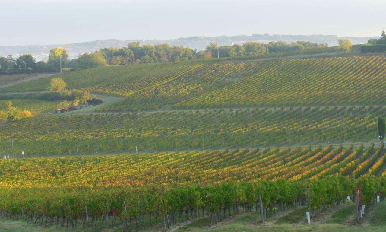 Romantic Gite Nr St Emilion With Private Pool And Views To Die For Pujols  Bagian luar foto