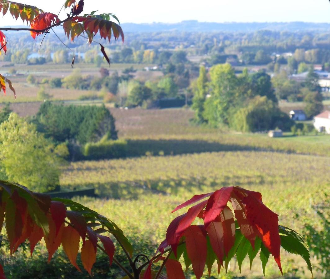 Romantic Gite Nr St Emilion With Private Pool And Views To Die For Pujols  Bagian luar foto