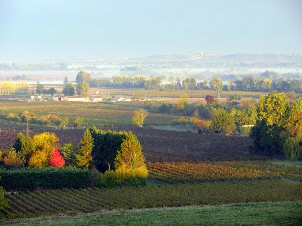 Romantic Gite Nr St Emilion With Private Pool And Views To Die For Pujols  Bagian luar foto