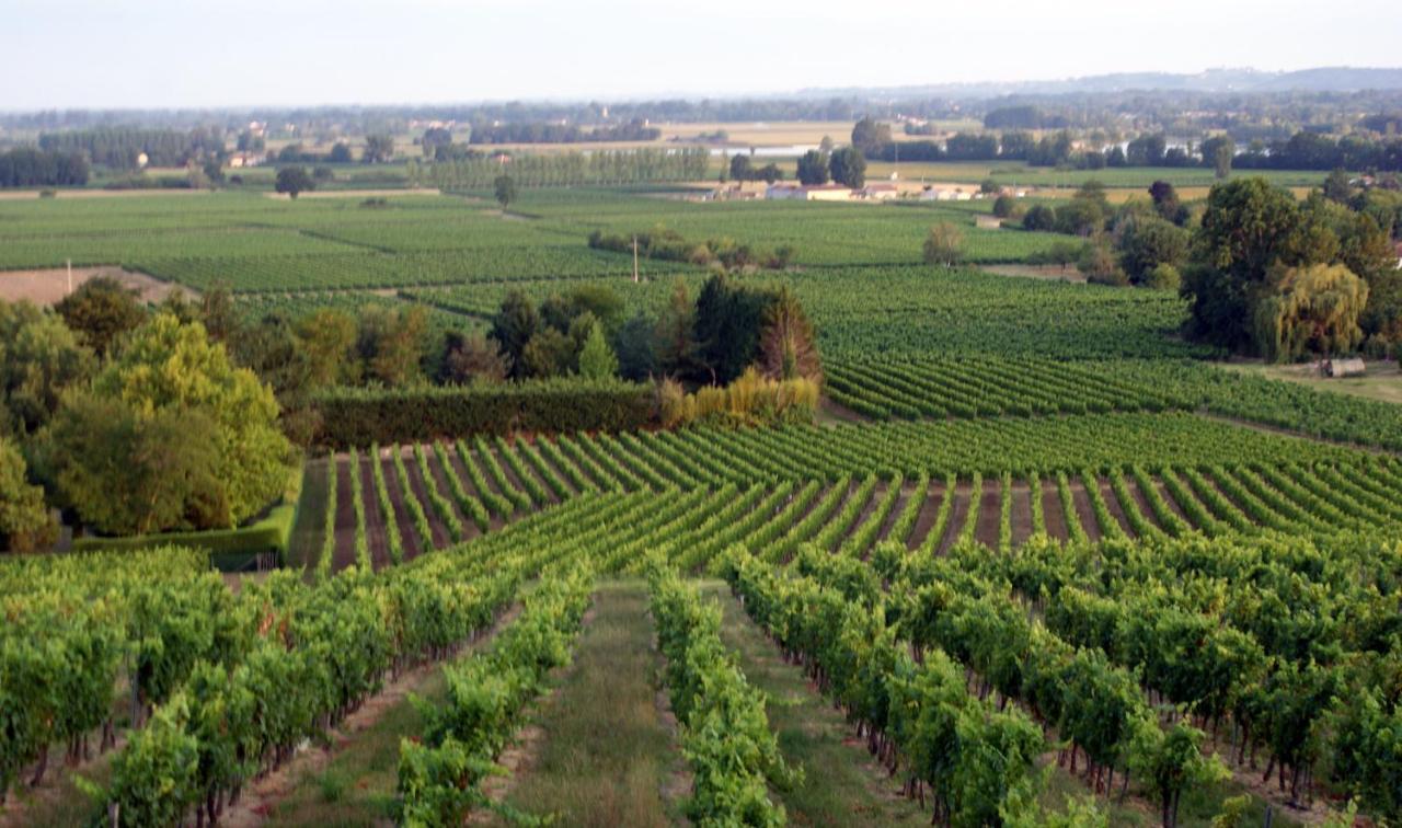 Romantic Gite Nr St Emilion With Private Pool And Views To Die For Pujols  Bagian luar foto