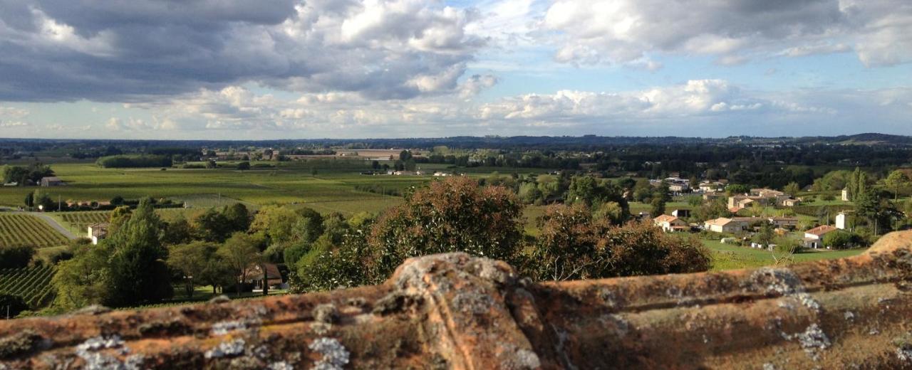 Romantic Gite Nr St Emilion With Private Pool And Views To Die For Pujols  Bagian luar foto